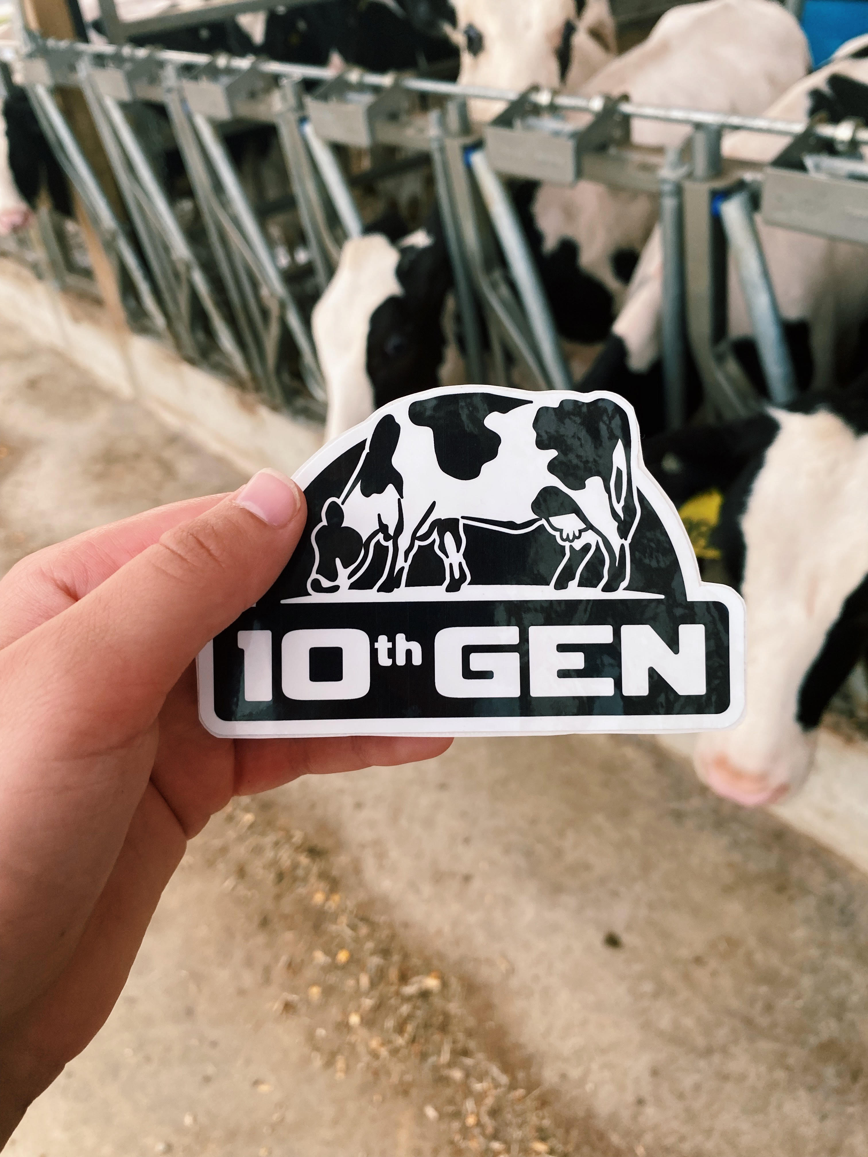 Logo Bumper Sticker – 10th Generation Dairyman